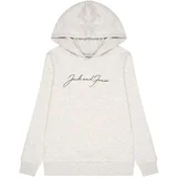 Jack & Jones Sweater majica 'FERRY' crna / bijela / bijela melange