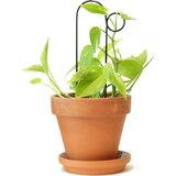 Botanopia Pomoč pri plezanju "Mini Plant Stake" - Bump Cene