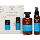 Apivita Set šampon i regenerator za kosu Hydration | Eponuda.com