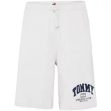 Tommy Jeans Hlače 'Ahletic' mornarsko plava / siva / crvena / crna / bijela