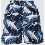 Yoclub Kids's Boy's Beach Shorts LKS-0046C-A100 cene