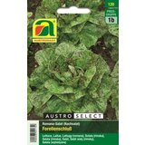AUSTROSAAT Solata Forellenschluss Cene