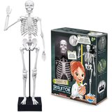 BUKI Skelet 104308 | ePonuda.com