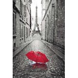  PLAKAT PARIZ-PARAGUAS ROJO, (20837179) | Shoptok.si