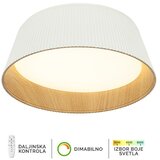  led plafonska lampa FK2003-62C wh Cene