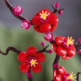 Lego Botanical Collection: Japonska marelica | Shoptok.si