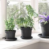  Krožni cvetlični pladenj 24 pcs Črna Ø 14 x 2 cm Plastika, (5000207673) | Shoptok.si