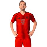 FC BAYERN MÜNCHEN Dres 'FC Bayern München Home Trikot 24-25' rdeča / črna | Shoptok.si
