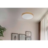 Lesnina XXXL STROPNA LED-SVETILKA Figaro 1350 lm 3000-6000 K | Shoptok.si