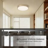  Brilagi-LED prigušiva svetiljka POOL SMART LED/48W/230V 40 cm Wi-Fi Tuya zlatna + daljinski upravljač | Eponuda.com