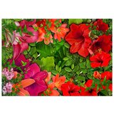  Samoljepljiva foto tapeta - Lilac Serenade 441x315 | shoptok.hr