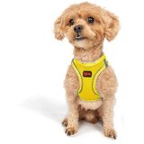 Paws & Whiskers Šape i brkovi Am za pse, zračna mreža, žuta | Eponuda.ba