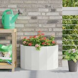  Cvetlično korito Bela 60 x 30 x 35 cm Jeklo, (5000207724) | Shoptok.si