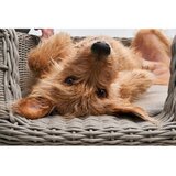 MiaCara bež podloga za pse 58x68 cm mio greige s | Shoptok.si