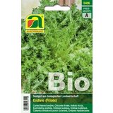 AUSTROSAAT Bio endivija Wallone (Frisée) | Shoptok.si