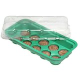 Flora World Sobni staklenik (D x Š x V: 25,5 x 12,5 x 6,5 mm, Zelene boje, S 10 tresetnih posuda) cijene