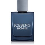 Iceberg Homme toaletna voda za moške 100 ml Cene