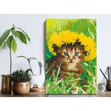  Slika za samostalno slikanje - Dandelion Cat 40x60 | shoptok.hr
