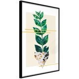  Poster - Perfectly Divided 40x60 | shoptok.hr
