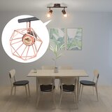 vidaXL Stropna svjetiljka s 2 LED žarulje sa žarnom niti 8 W Cijene