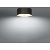  Stropna svetilka SKALA 30 črna, (21347548) | Shoptok.si