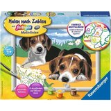  Slikanje po številkah - Pasja mladička Jack Russel Cene