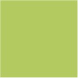  PAPIR ILK U BOJI A4 120G PK25 MONDI MA42 ZELENI | Shoptok.si