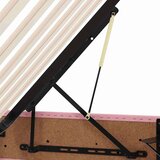  Postelja s shranjevanjem z vzmetnico Roza 90 x 200 cm Žamet, (5000100412) | Shoptok.si