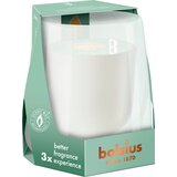Bolsius CleanLight Starterkit - vanilija in tonka fižol | Shoptok.si