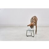MiaCara Porculanska posuda s postoljem za pse ø 20 cm Pranzo Grolive M – | shoptok.hr
