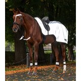 Waldhausen Odsevno jahalno pregrinjalo REFLEX, silver grey - Cob Cene