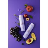 Masil 5 Salon No Yellow ljubičasti šampon neutralizirajući žuti tonovi 300 ml | shoptok.hr