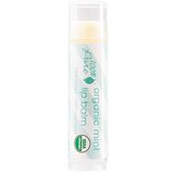 100% Pure Balzam za usnice - Mint Cijene