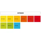 Papir barvni intenziv zelena lipa A4 LG46, 80g 500 listov, (20366120)
