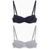 CA brushalter, set od 2, sivi i teget | ePonuda.com
