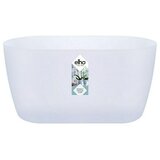 ELHO Tegla za orhideju (Vanjska dimenzija (D x Š x V): 25 x 13 x 12,6 cm, Plastika, Prozirno, Mat) | shoptok.hr