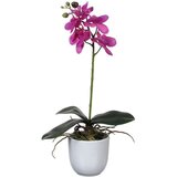 MICA Umjetna biljka Phalaenopsis (Visina: 48 cm, Ljubičasta, Plastika) Cijene