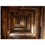  Tapeta - Wooden passage 200x154 | shoptok.hr