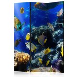  Paravan u 3 dijela - Underwater adventure [Room Dividers] 135x172 Cijene