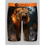 Ethika The Pack Boxershorts assorted | shoptok.hr