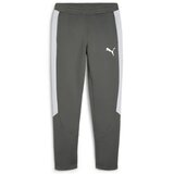Puma Spodnji deli trenirke Evostripe Siva Cene