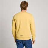 PepeJeans Damian Crew duks | Eponuda.com
