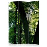  Paravan u 3 dijela - Spring in the Park [Room Dividers] 135x172 Cijene