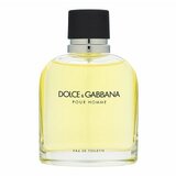 Dolce & Gabbana Pour Homme Toaletna voda za moške 125 ml | Shoptok.si