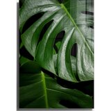 Wallity Steklena slika 50x70 cm Monstera – Wallity Cene