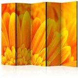 Paravan Yellow Gerbera Daisies Ii, 5-Delni, Dvostranski