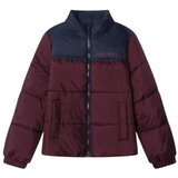 PepeJeans Puhovke PB4000008 472 Bordo Cene