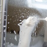  Višenamjenska pjena za čišćenje Foam Pro | shoptok.hr