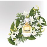 Roberto Cavalli paradiso parfemska voda 50 ml za žene | shoptok.hr