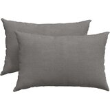 vidaXL Blazine za kavč 2 pcs Svetlo siva 60 x 40 cm Žametna tkanina | Shoptok.si